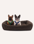 Two dogs sitting on a brown pet bed with a white background