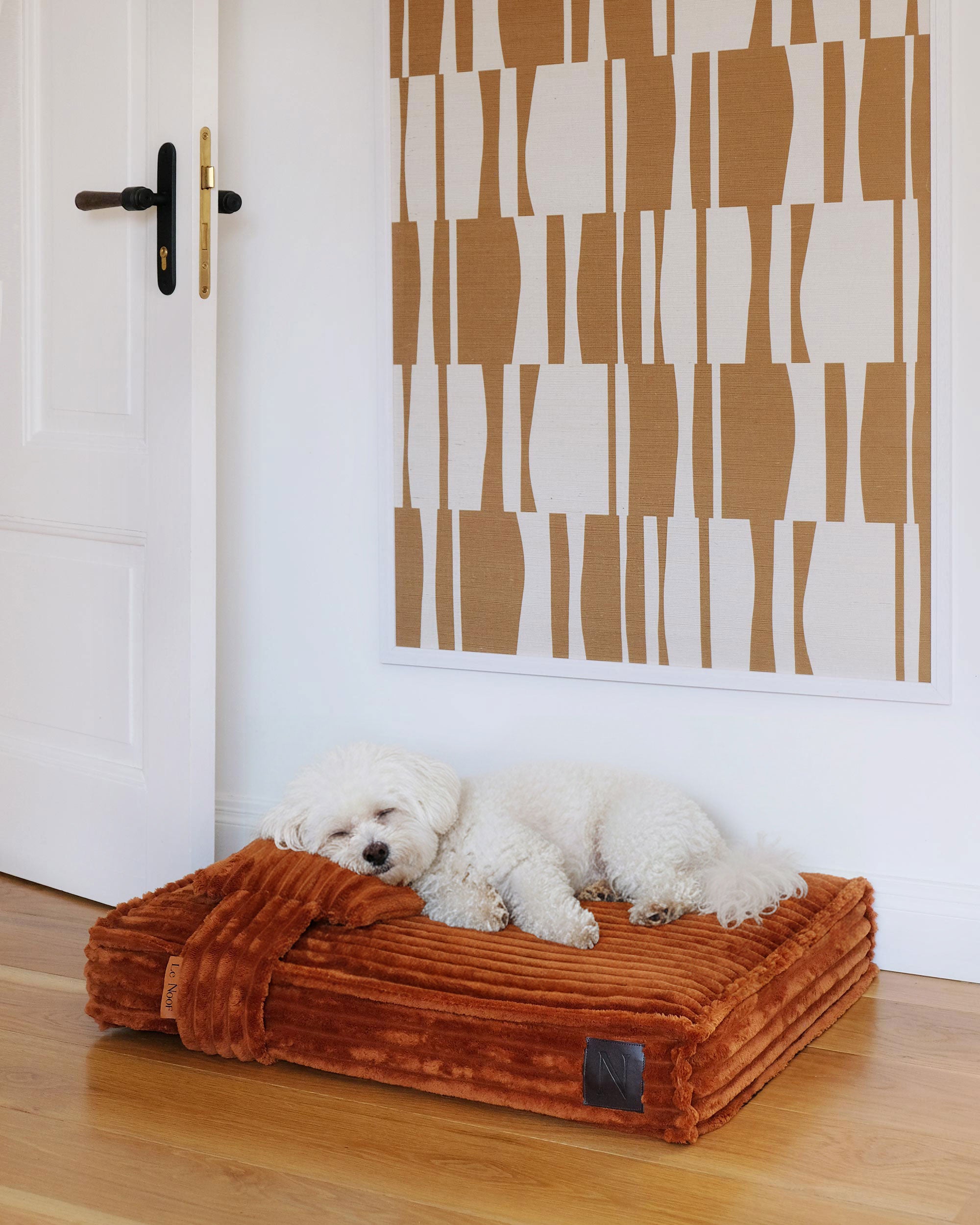 White dog lying on a orange pet bed in a room with a patterned wall.